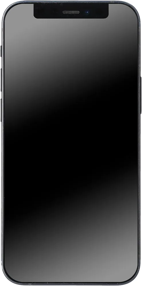 Apple iPhone 12 128Go